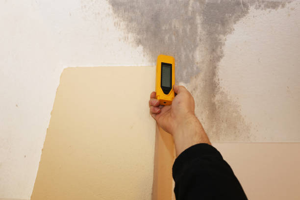 Asbestos and Lead Testing During Mold Inspection in Dublin, GA