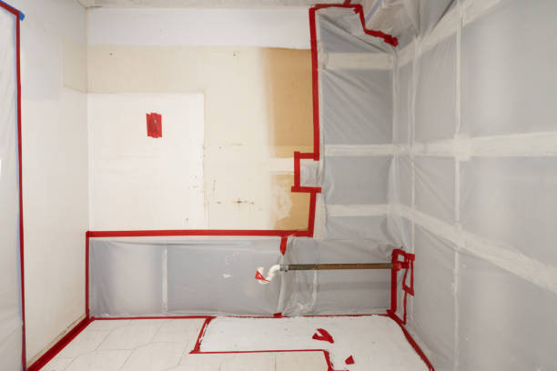Best Forensic Mold Investigation  in Dublin, GA