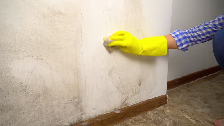 Best Comprehensive Air Testing for Mold Contaminants  in Dublin, GA