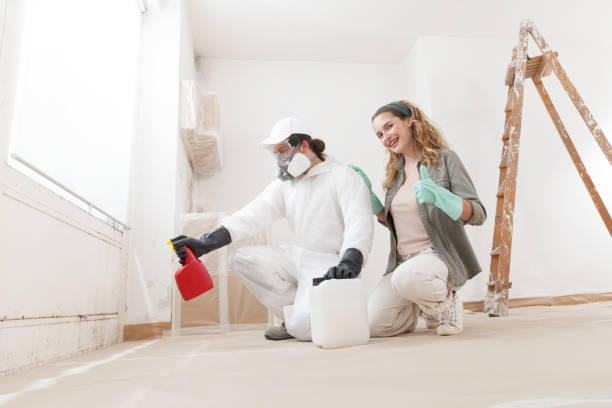 Best Mold Damage Restoration  in Dublin, GA